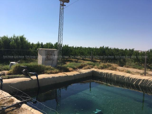 Ferme vente à Sidi Bouzid Ouest