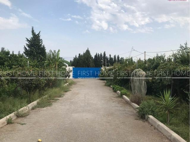 Ferme vente à Ben Arous