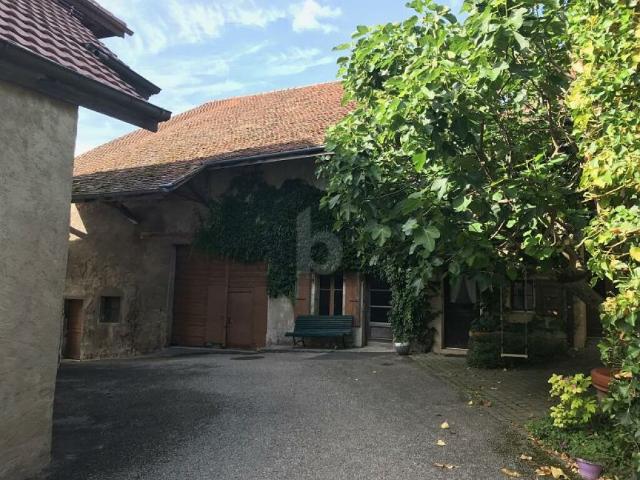 Bauernhaus kaufen in Chavornay, Waadt