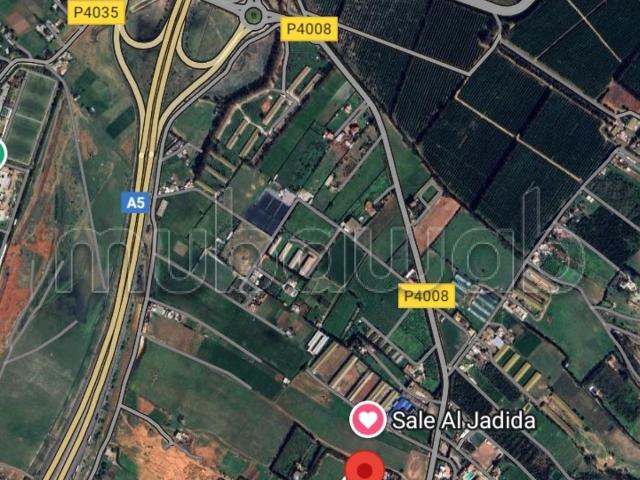 Ferme vente à Salé