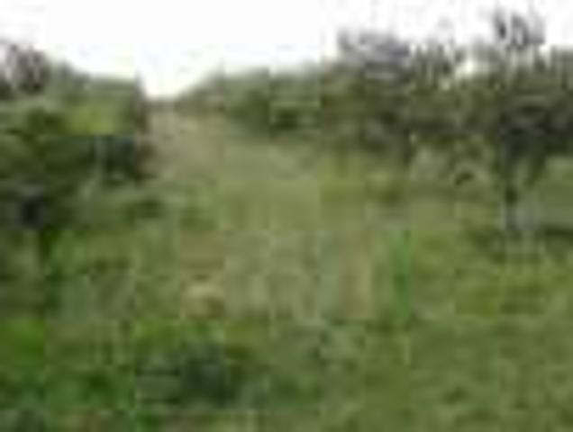 Propriété vente à Témara