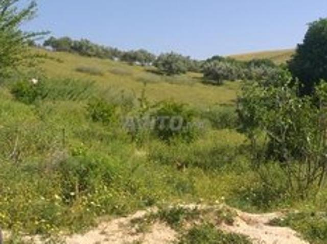 Propriété vente à Khémisset