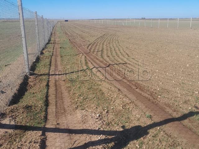 Ferme vente à Settat, Gharb-Chrarda-Beni Hssen