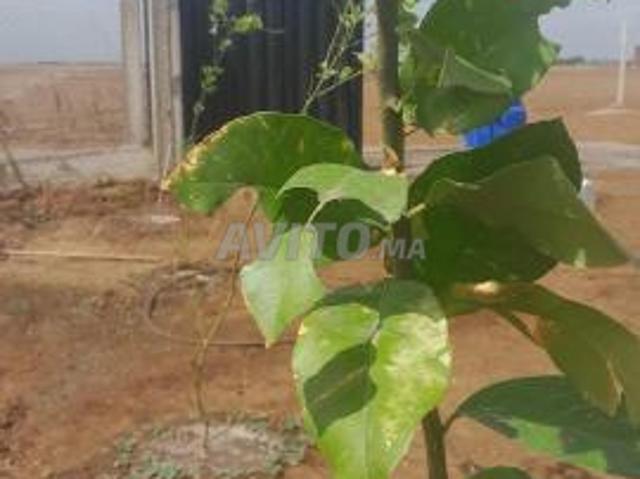 Propriété vente à Berrechid, Gharb-Chrarda-Beni Hssen