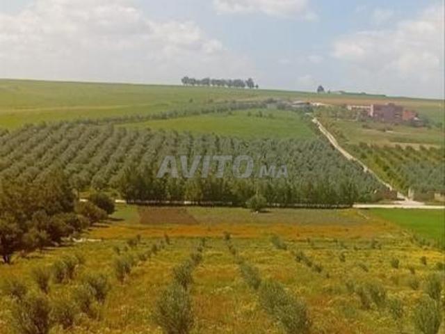Propriété vente à Anfa, Gharb-Chrarda-Beni Hssen