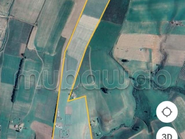 Ferme vente à Ait Malek