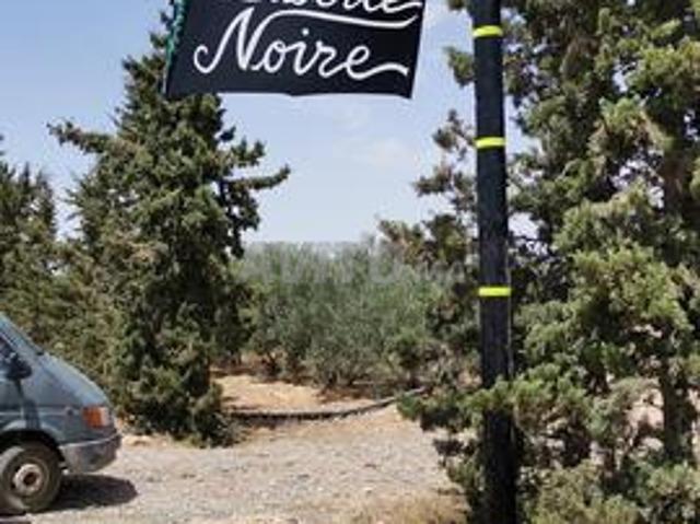 Propriété vente à Guercif