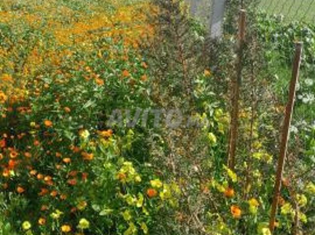 Propriété vente à Berrechid, Gharb-Chrarda-Beni Hssen