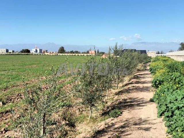Propriété vente à Agadir, Oued ed Dahab-Lagouira