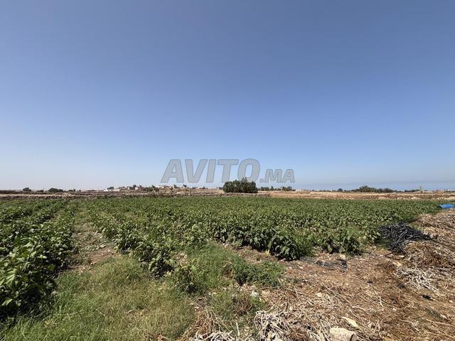 Propriété vente à El Ma, Gharb-Chrarda-Beni Hssen