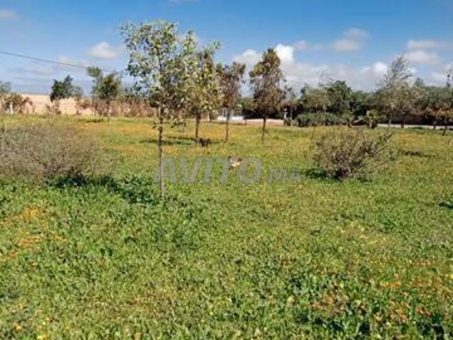 Propriété vente à Anfa, Gharb-Chrarda-Beni Hssen