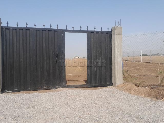 Ferme vente à Berrechid, Chaouia-Ouardigha