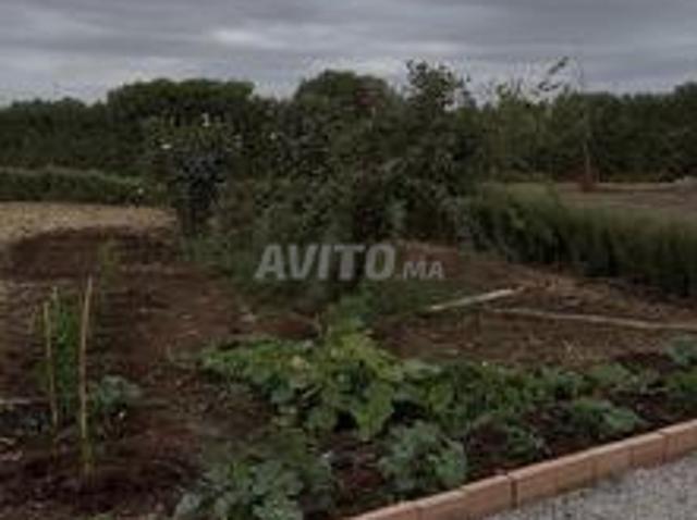 Propriété vente à Slimane, Gharb-Chrarda-Beni Hssen