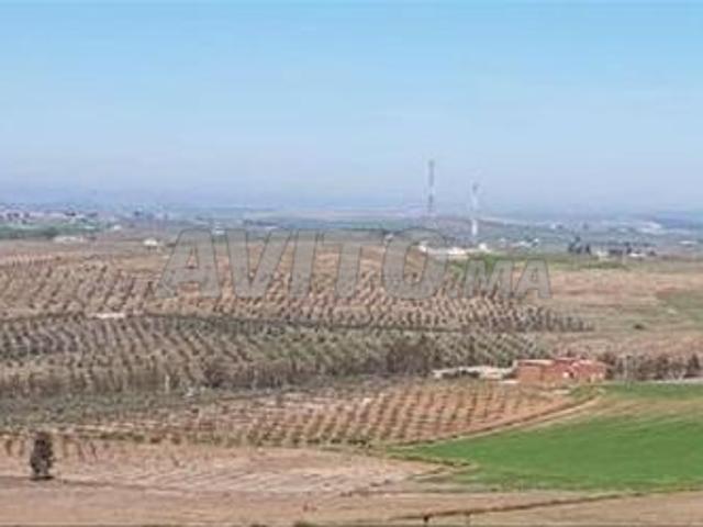 Propriété vente à Oued Zem