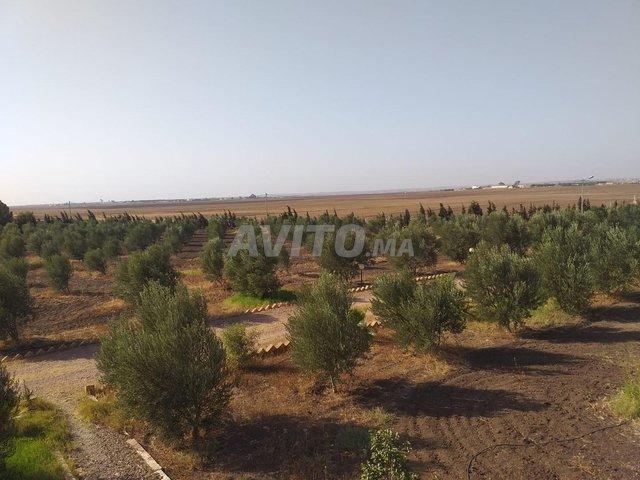 Propriété vente à Settat, Gharb-Chrarda-Beni Hssen