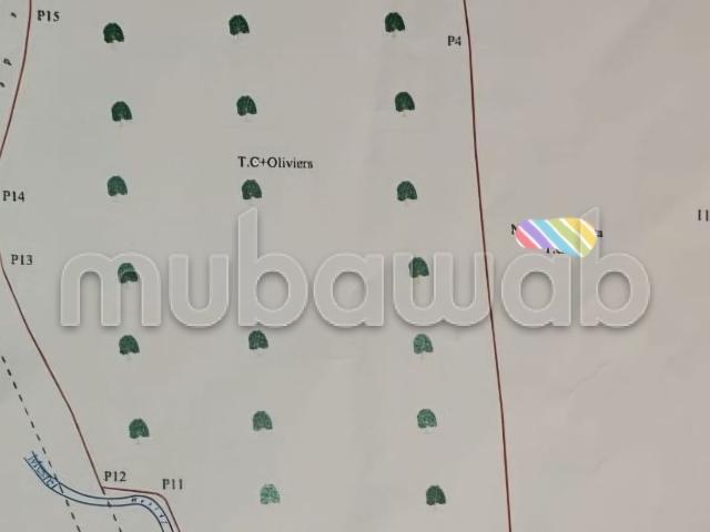 Ferme vente à Oulad Hassoun, L'Oriental