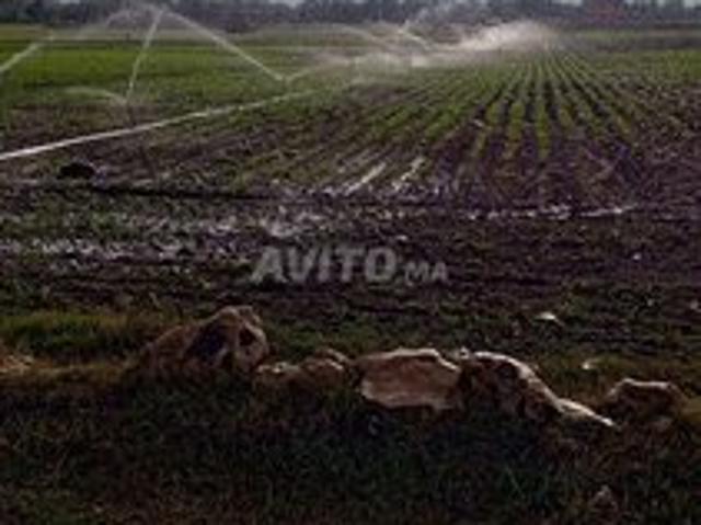 Propriété vente à Zmamra, Gharb-Chrarda-Beni Hssen