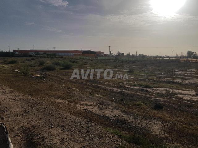 Propriété vente à Ouled, Oued ed Dahab-Lagouira
