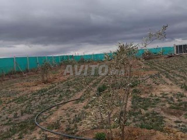 Propriété vente à Ar Rommani