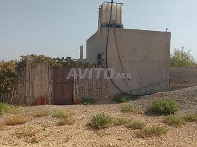 Propriété vente à Guercif