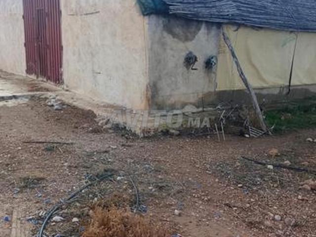Propriété vente à Guercif