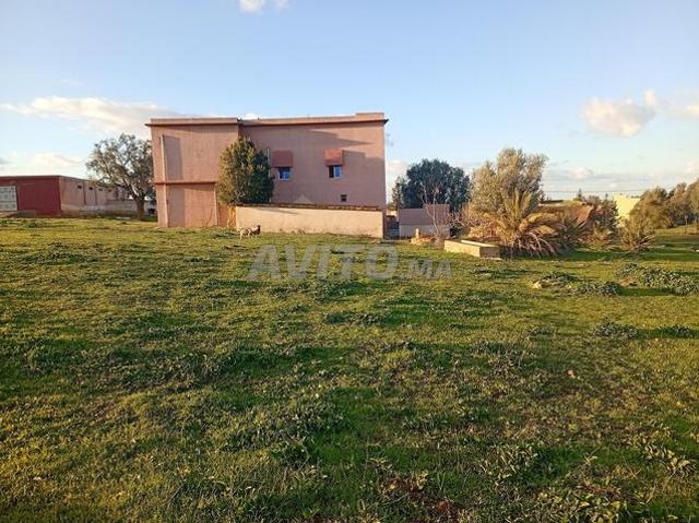 Propriété vente à Khémisset