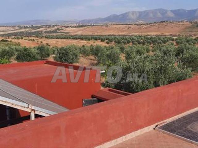Propriété vente à Azilal