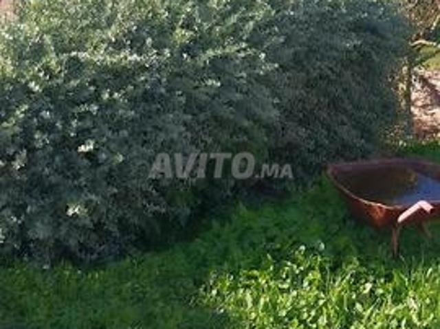 Propriété vente à El Ma, Gharb-Chrarda-Beni Hssen