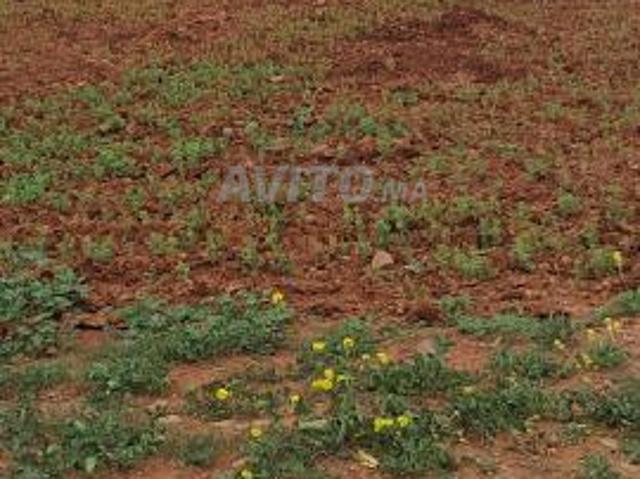 Propriété vente à Anfa, Gharb-Chrarda-Beni Hssen
