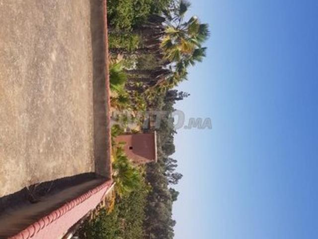 Propriété vente à Gharb-Chrarda-Beni Hssen
