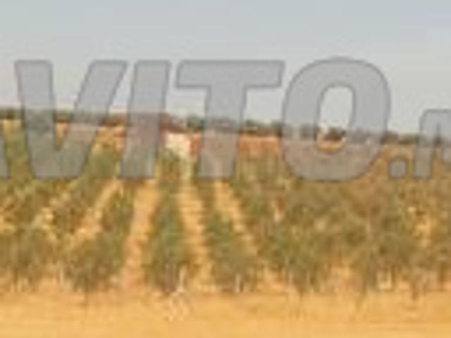 Propriété vente à Ain Taoujdat