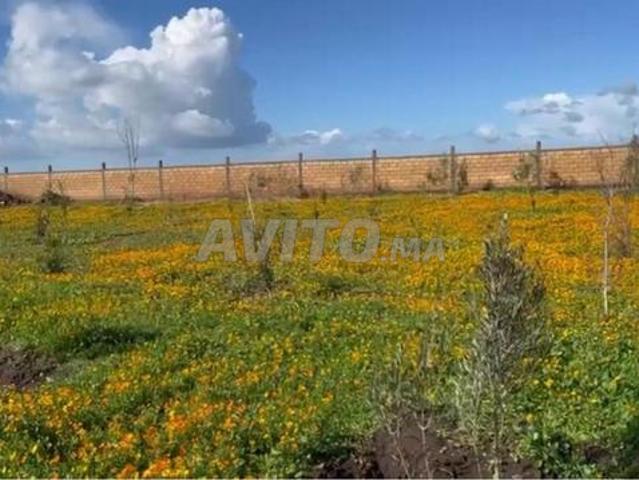 Propriété vente à El Ma, Gharb-Chrarda-Beni Hssen