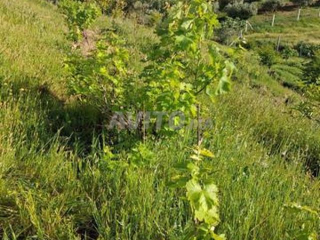 Propriété vente à Sidi Allal El Bahraoui