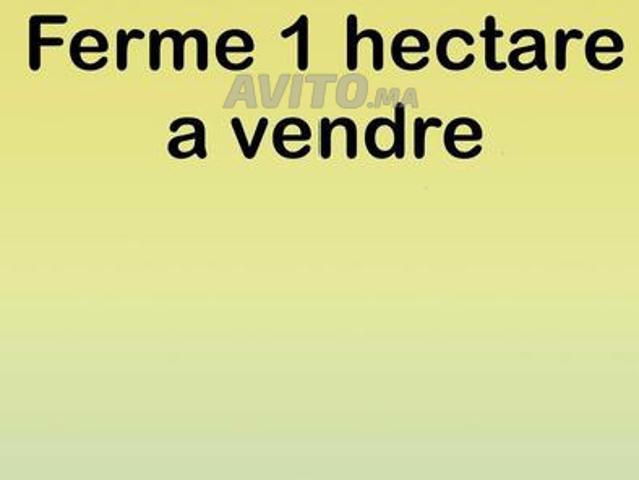Propriété vente à Slimane, Gharb-Chrarda-Beni Hssen