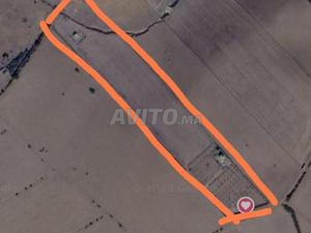 Propriété vente à Hay Riad, Berkane