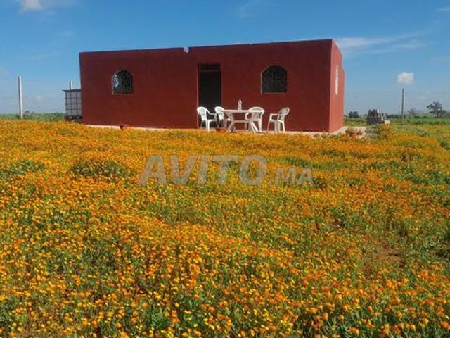 Propriété vente à Berrechid, Gharb-Chrarda-Beni Hssen