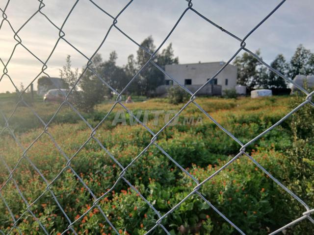 Propriété vente à El Ma, Gharb-Chrarda-Beni Hssen