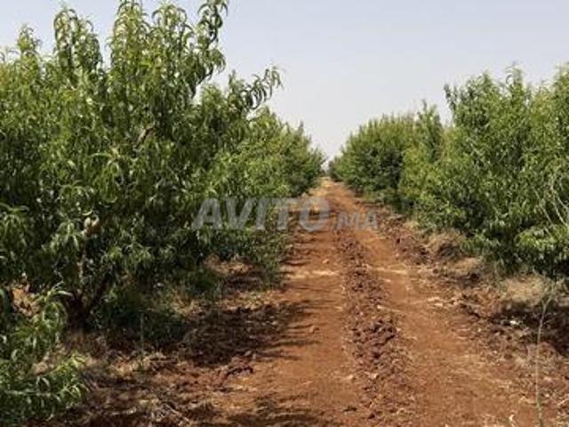 Propriété vente à Meknès