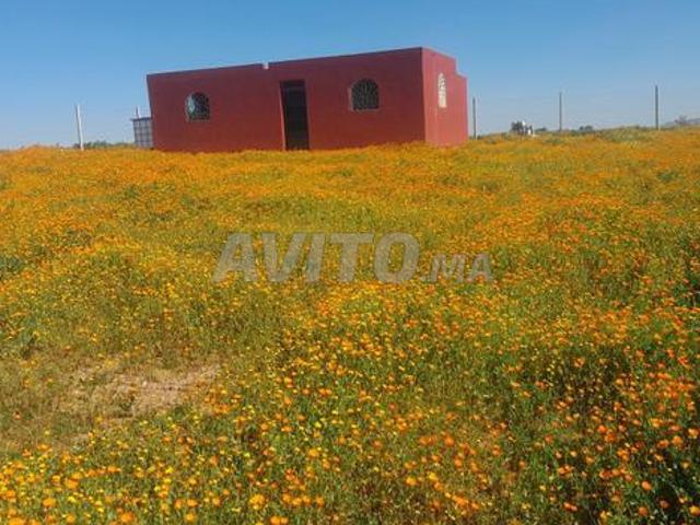 Propriété vente à Berrechid, Gharb-Chrarda-Beni Hssen