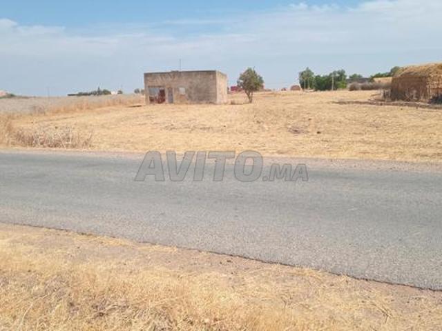 Propriété vente à El Gara, Gharb-Chrarda-Beni Hssen