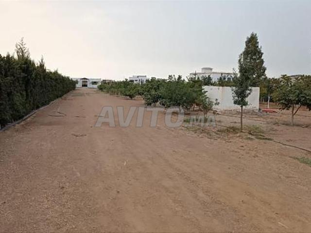 Propriété vente à Slimane, Gharb-Chrarda-Beni Hssen