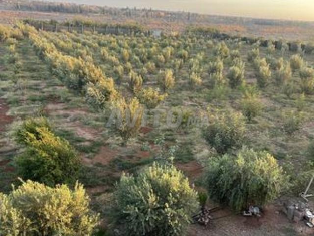 Propriété vente à Agadir, Oued ed Dahab-Lagouira