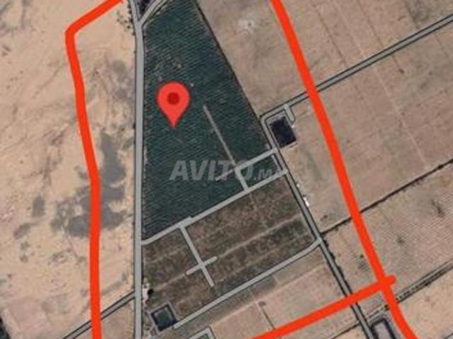 Propriété vente à L'Oriental