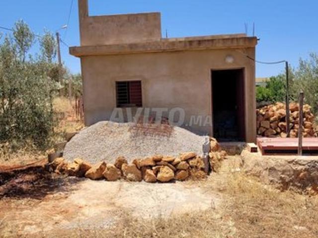 Propriété vente à Ain Taoujdat
