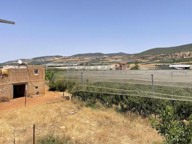 Propriété vente à Imouzzer Des Ida Ou Tanane, Oued ed Dahab-Lagouira