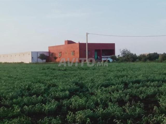 Propriété vente à Saf, L'Oriental
