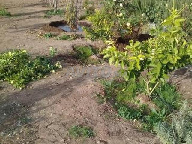 Propriété vente à Khouribga