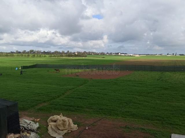 Ferme vente à El Ma, Gharb-Chrarda-Beni Hssen
