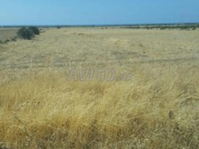 Propriété vente à Gharb-Chrarda-Beni Hssen