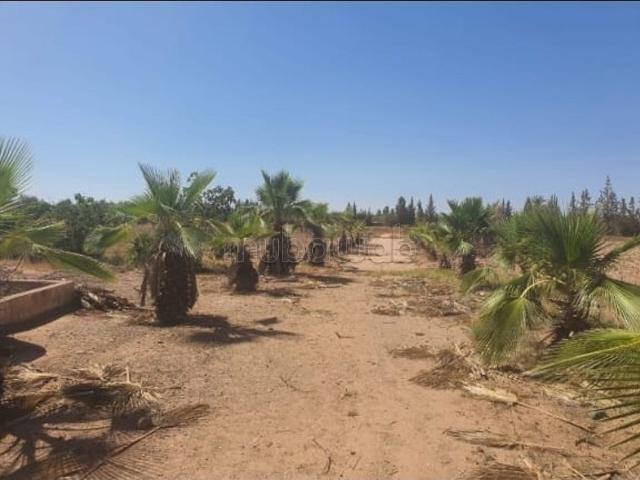 Ferme vente à Marrakech, L'Oriental